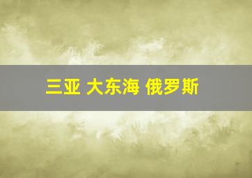 三亚 大东海 俄罗斯